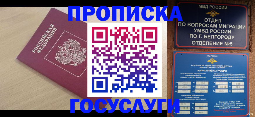 прописка законно в Новокубанске